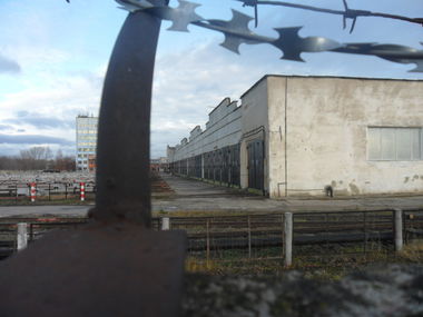 Graffiti Artwork - Photo by seferorb