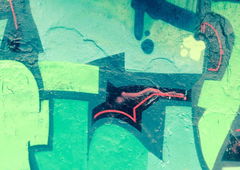 Photo #38453 by grow