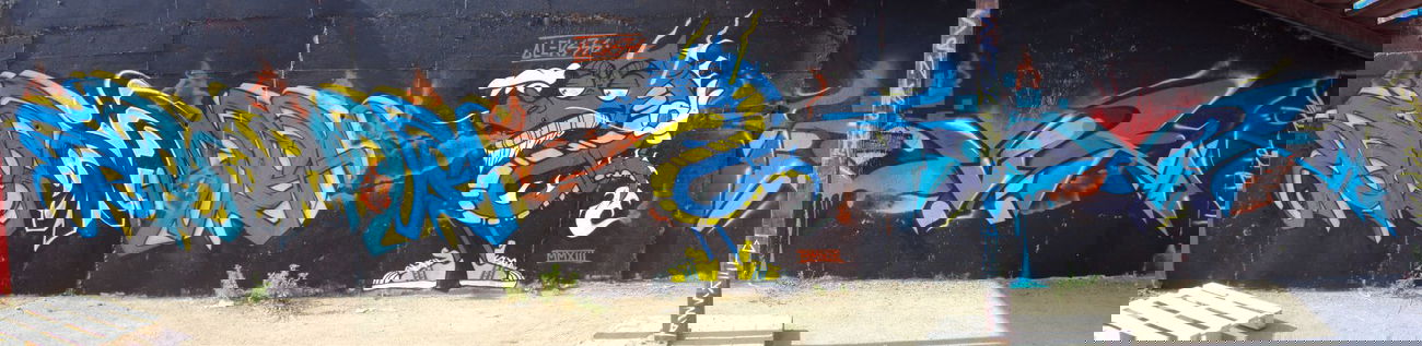 Graffiti Wall - Photo by senkizh - MBS, crew (2013)