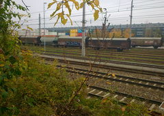 Photo #54506 by MisterSchnebshod