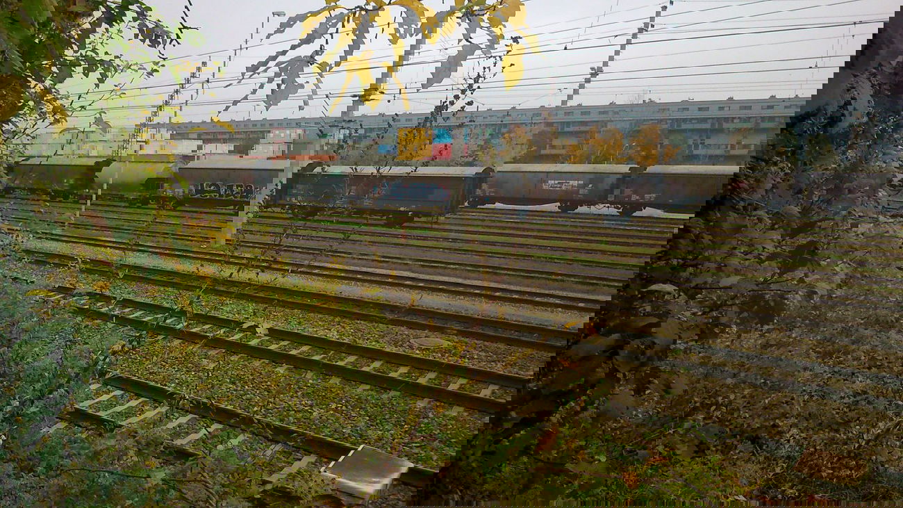 Graffiti Train - Photo by shar_one - freight, fr8, wien