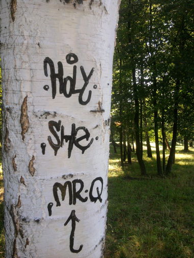 Graffiti Artwork - Photo by she1