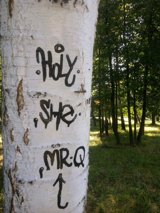 Graffiti Artwork - Photo by she1