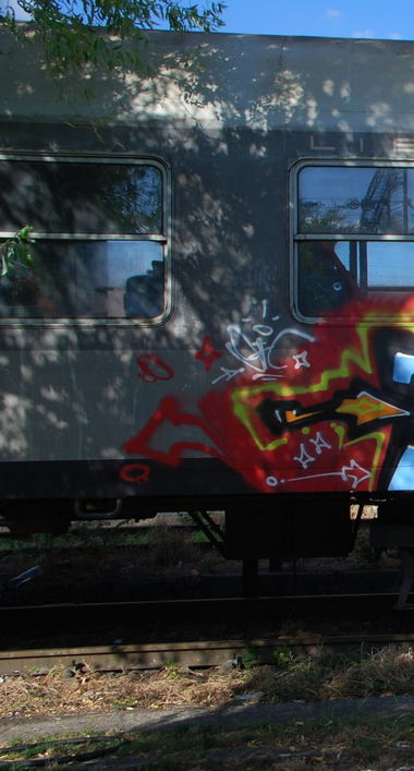 Graffiti Train - Photo by sheeps