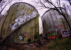 Photo #216402 by Belt