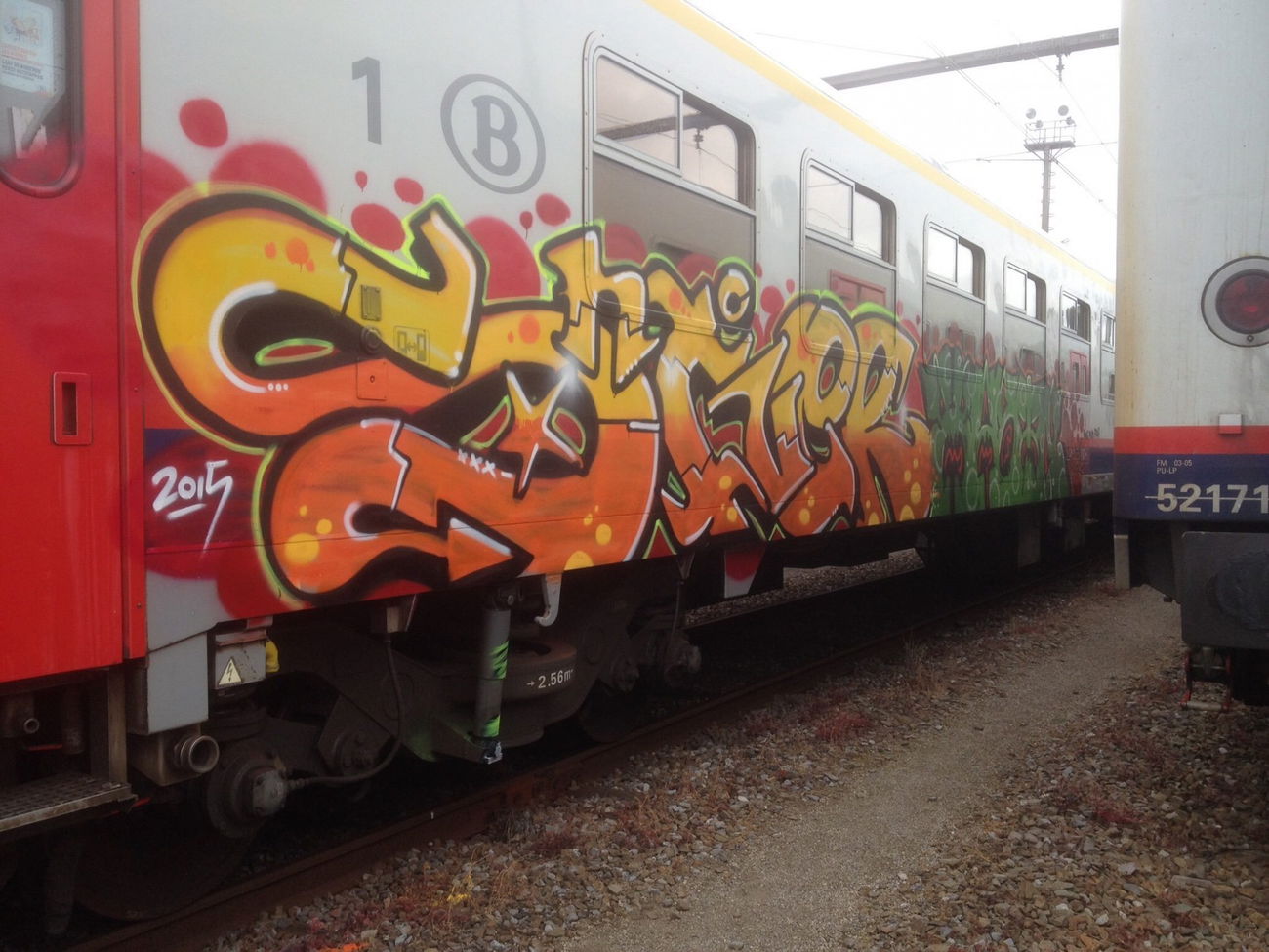 Graffiti Train - Photo by shiver (2015)
