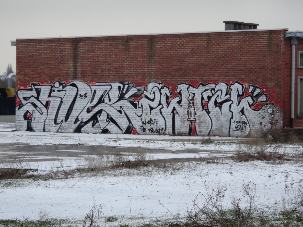 Graffiti Bombing in Hasselt - Photo by shiver - shiver, switch (2012)