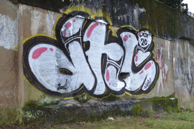 Graffiti Bombing - Photo by shiver