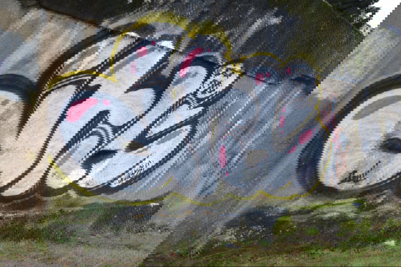 Graffiti Bombing - Photo by shiver