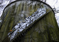 Photo #216403 by Belt