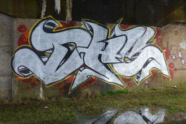 Graffiti Bombing - Photo by shiver - DHC