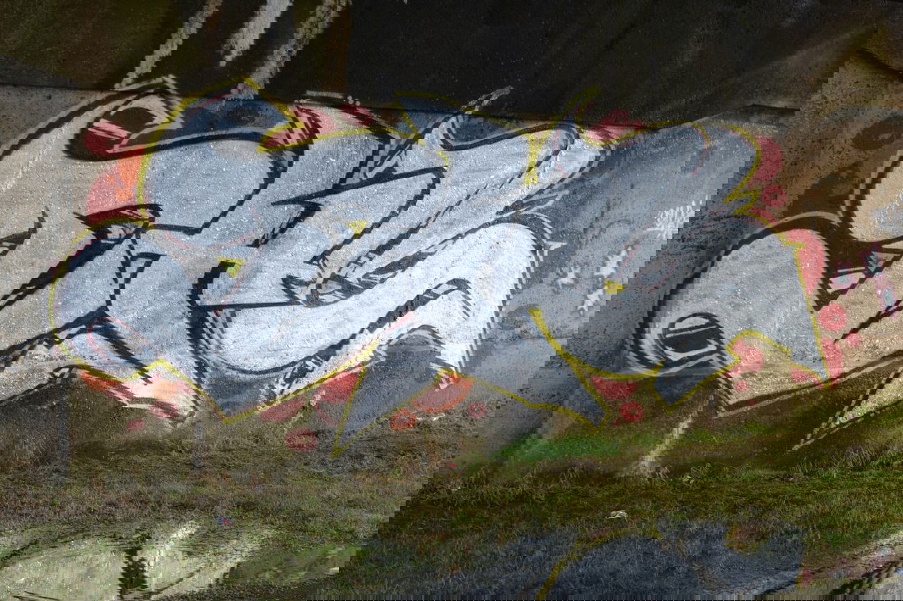 Graffiti Bombing - Photo by shiver - DHC