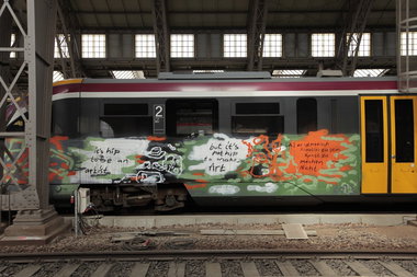 Graffiti Train in Dresden - Photo by shlomo (2013)