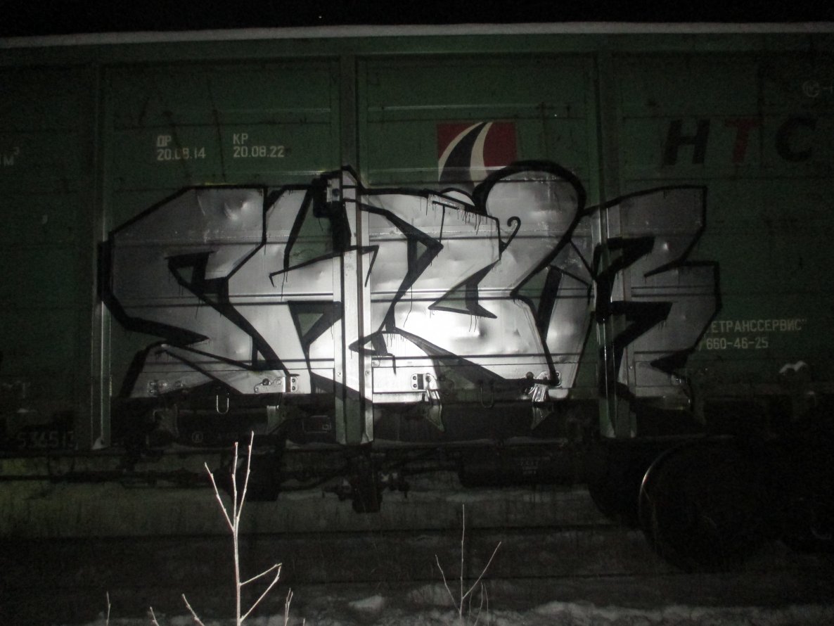Graffiti Train - Photo by shuruper - Shur