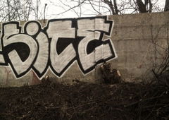 Photo #21419 by sunsnv