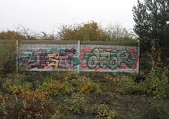 Photo #127866 by ronnklim34