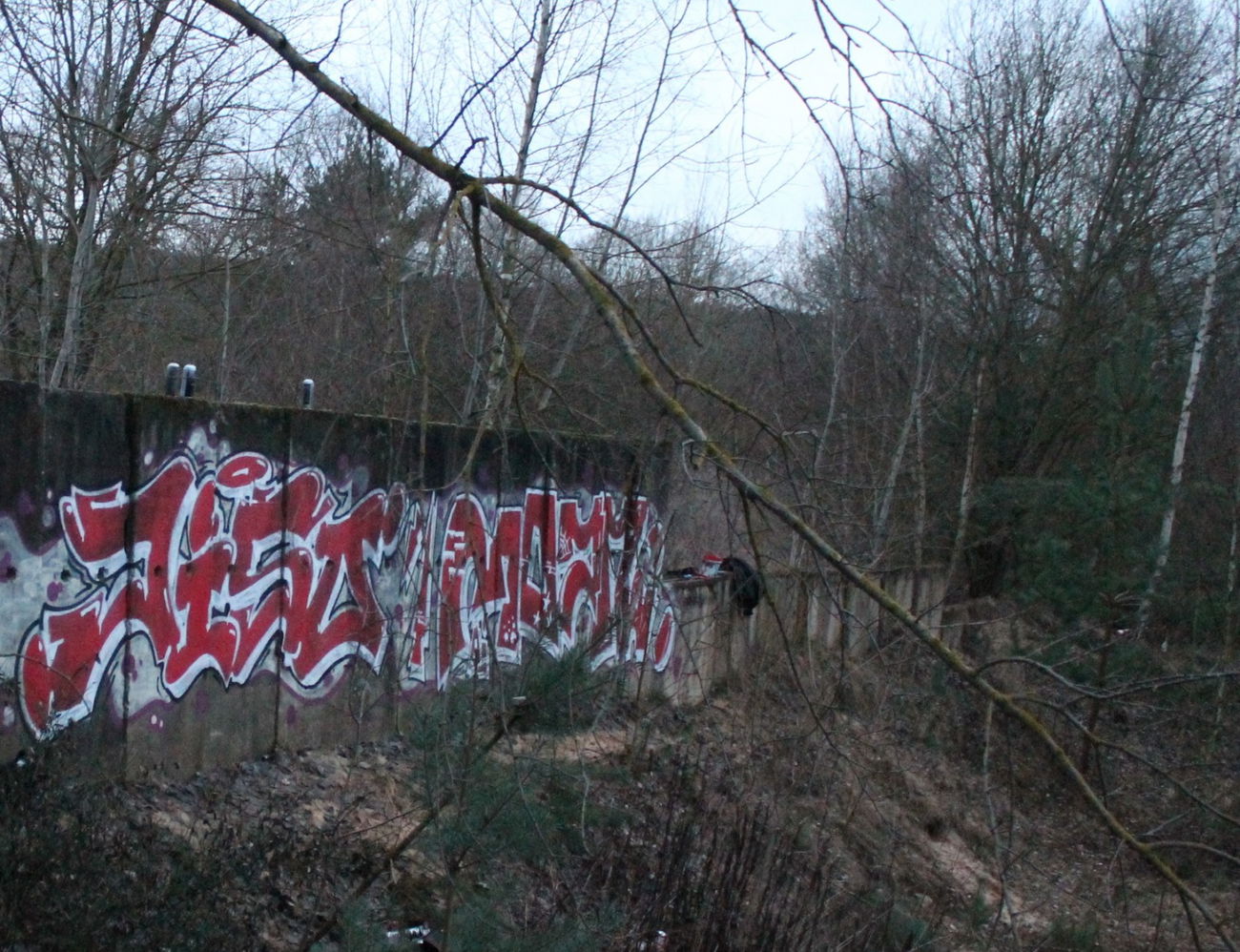 Graffiti Wall - Photo by siebnfuffzich - Jiso, 57, Izef (2016)