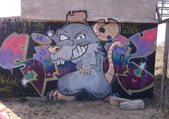 Photo #147020 by B3ncon3