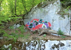 Photo #49585 by streuner