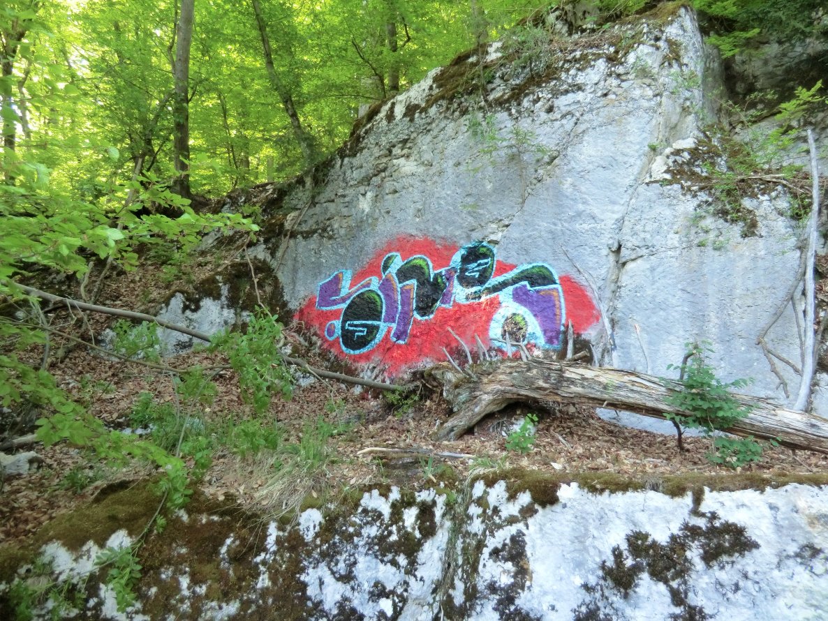Graffiti Wall - Photo by sims - sims, stone, creeping (2012)