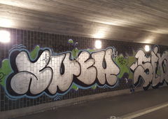 Photo #190125 by TagHagel