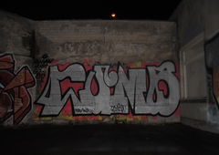 Photo #174027 by ingwer