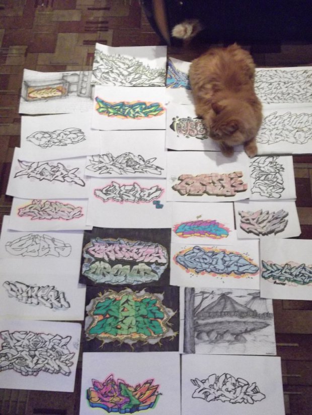 Graffiti Artwork - Photo by skat - skat (2013)