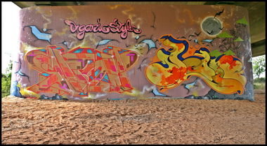 Graffiti Wall - Photo by skion - nienburg, 2013, skion (2013)