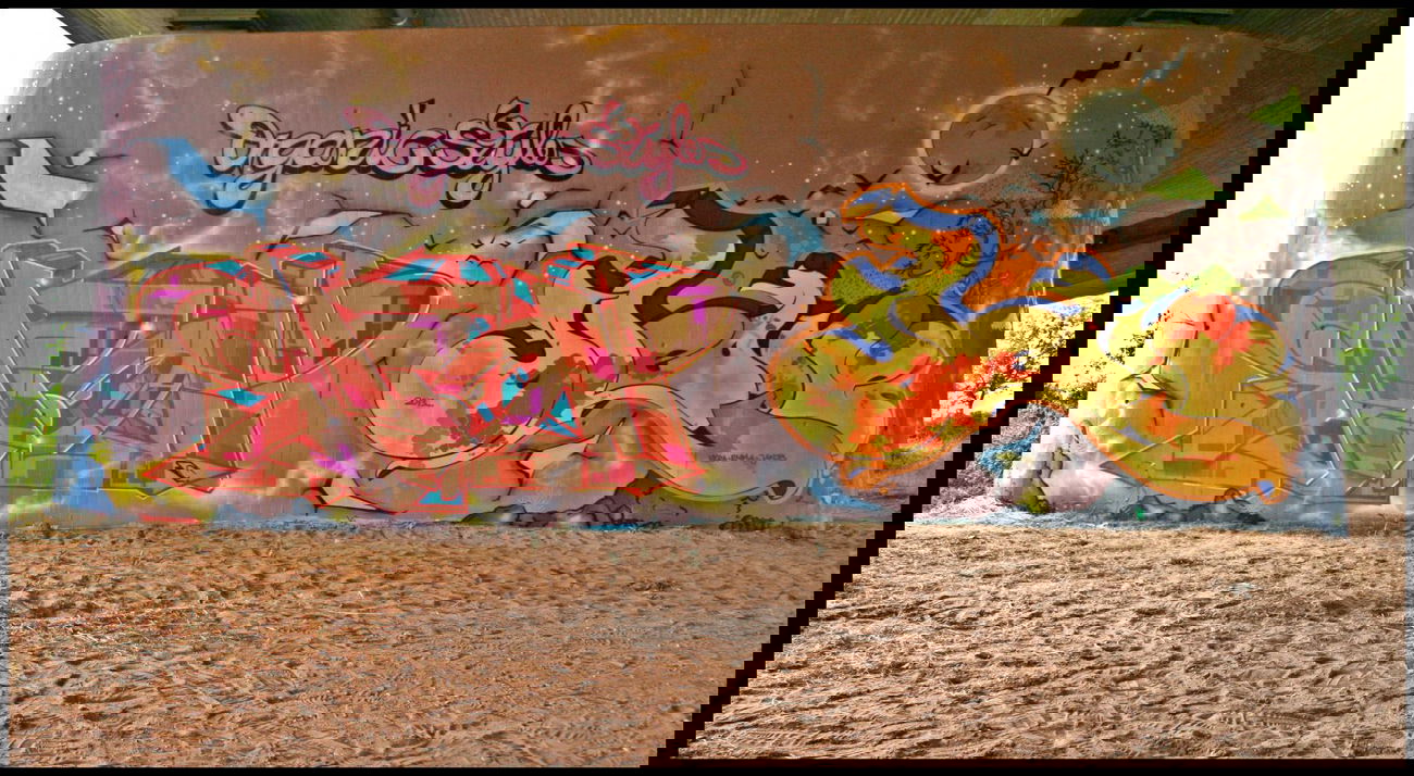 Graffiti Wall - Photo by skion - nienburg, 2013, skion (2013)