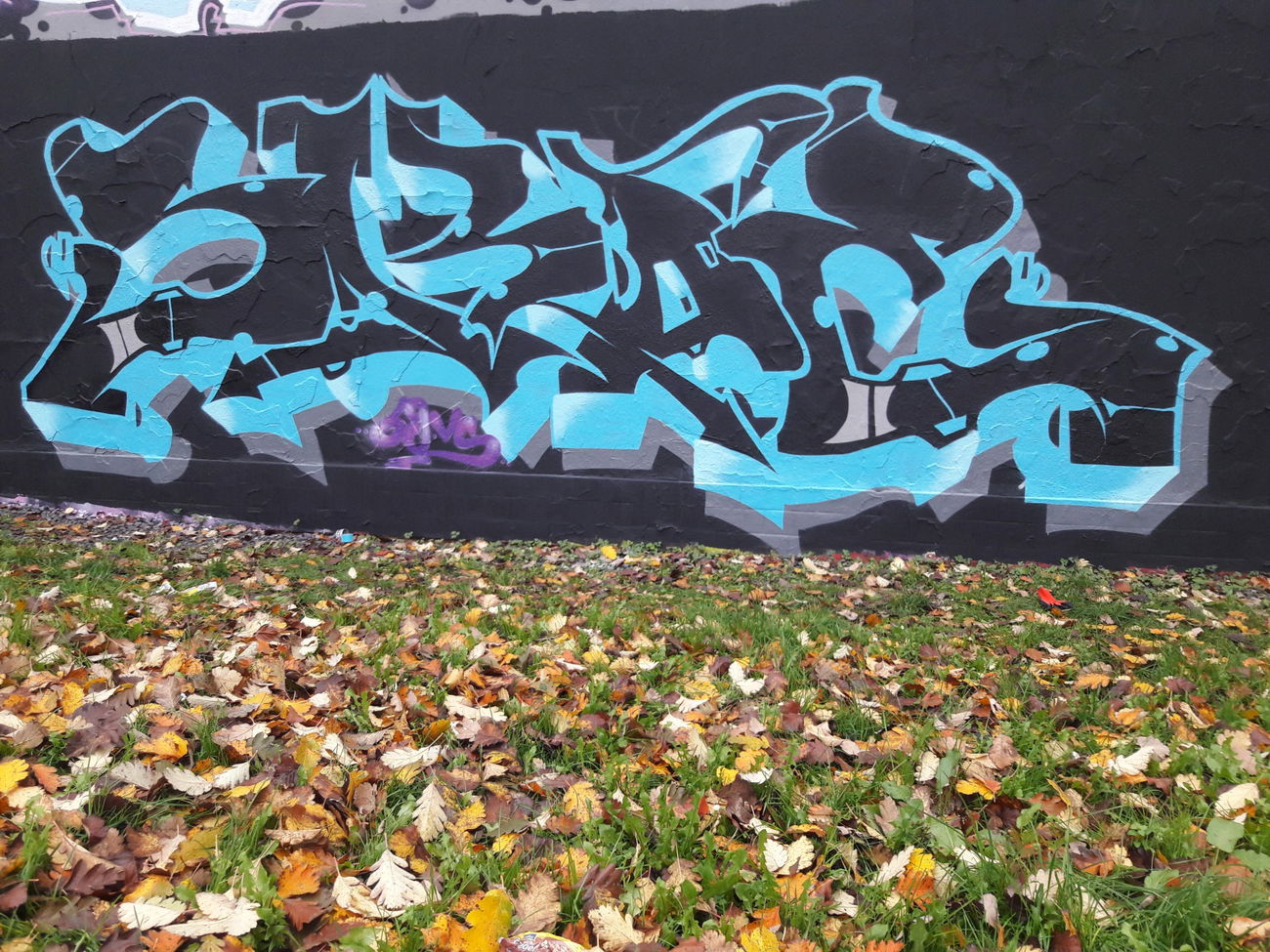 Graffiti Wall - Photo by skoe1