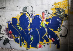 Photo #16790 by TheWallHunter