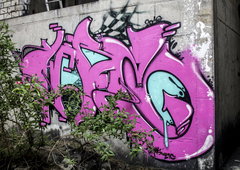 Photo #17748 by TheWallHunter