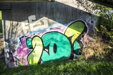 Graffiti Bombing in Dortmund - Photo by skordi - ID, wall, trainline (2013)