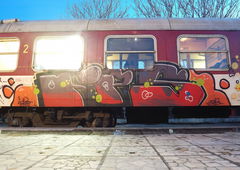 Photo #84869 by Senor