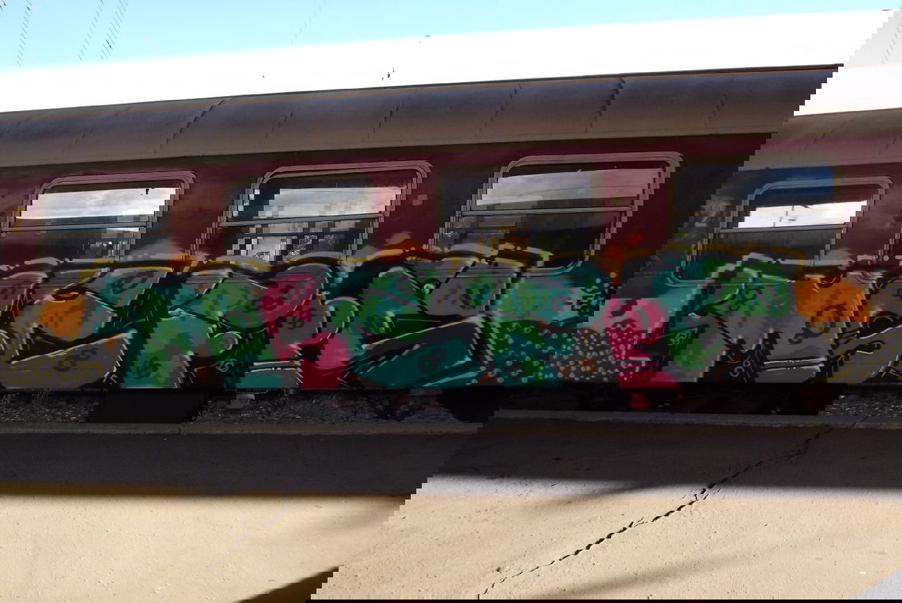 Graffiti Train - Photo by skpc - msc, fps (2013)