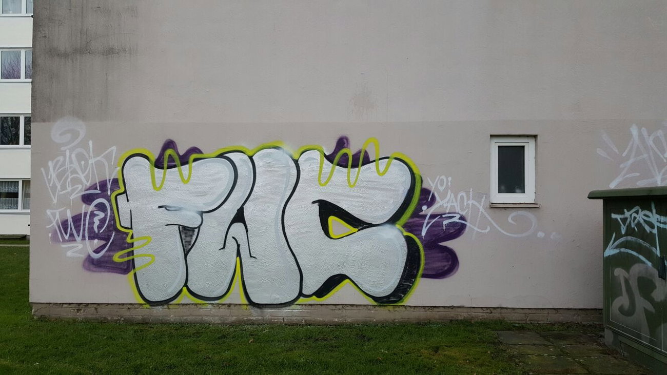 Graffiti Bombing in Oldenburg - Photo by skroten - FWC (2016)