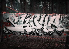 Photo #128282 by Foekes