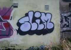 Photo #56639 by tonkocrew