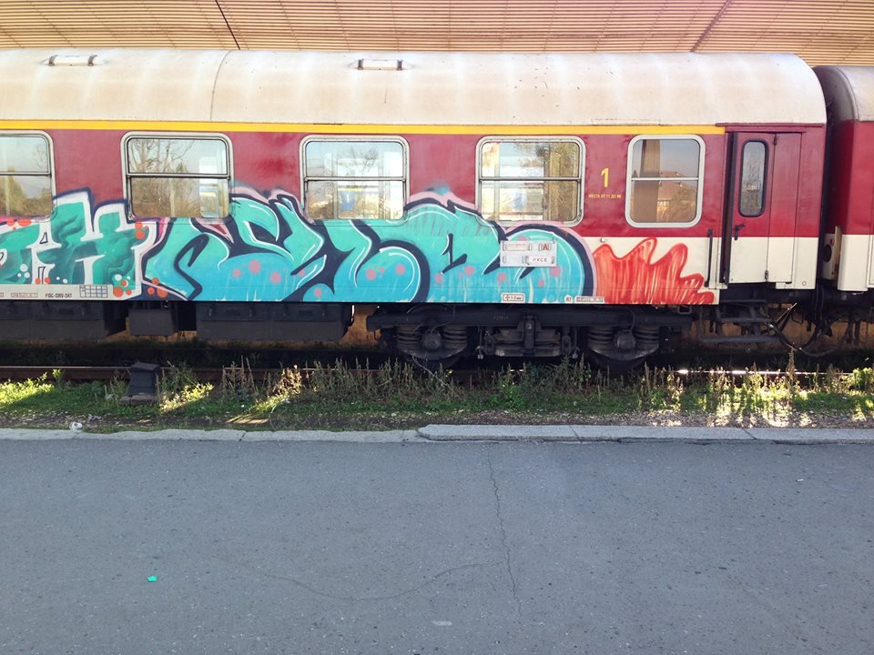 Graffiti Train - Photo by slonero - slone, locos (2013)