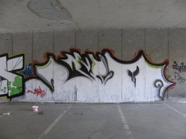 Graffiti Bombing - Photo by slonero - slone, locos (2013)