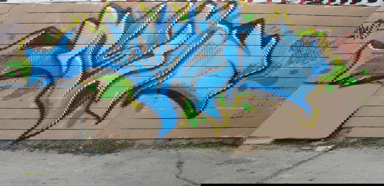 Graffiti Wall - Photo by slonero - slone, slo, locos (2013)