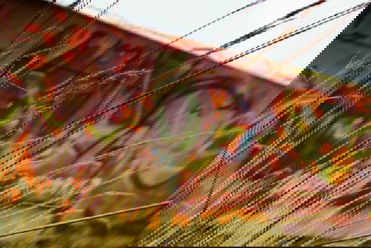 Graffiti Artwork - Photo by smOkers3 - KOMS (2014)