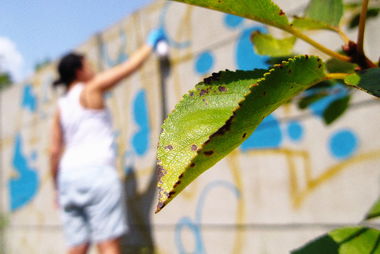 Graffiti Artwork - Photo by smOkers3 - koms (2014)