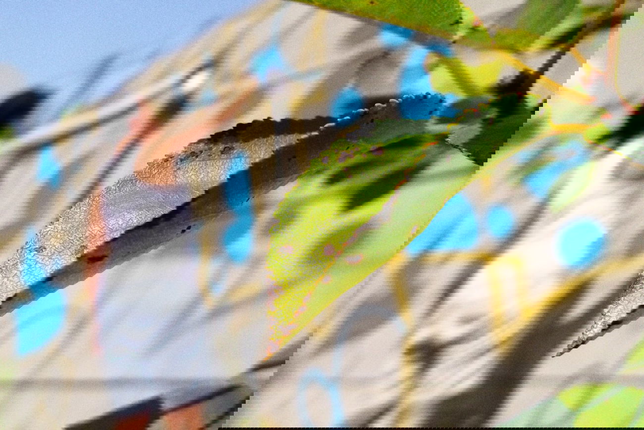 Graffiti Artwork - Photo by smOkers3 - koms (2014)