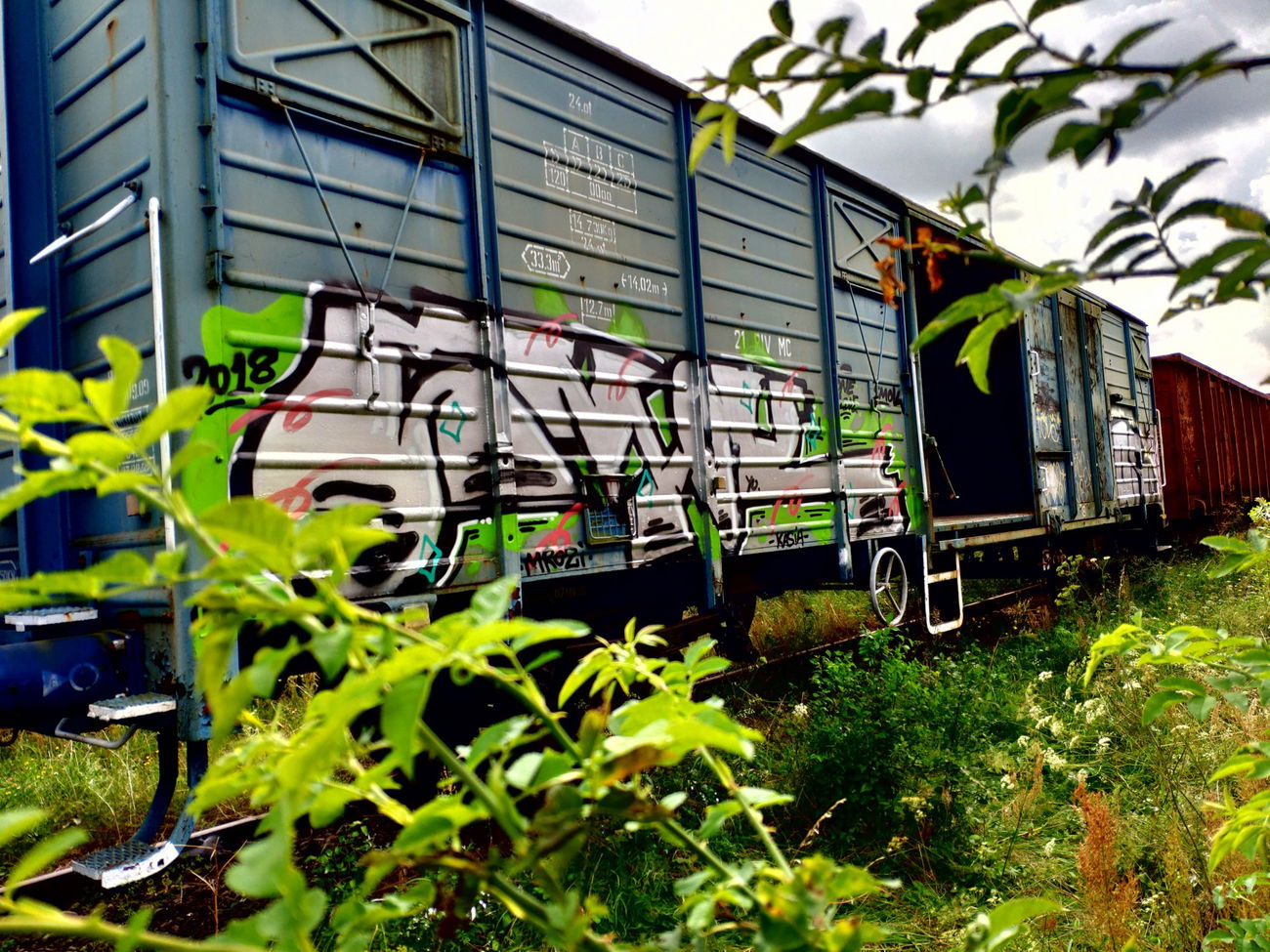 Graffiti Train - Photo by smOkers3 - smok, fr8, lodz (2018)