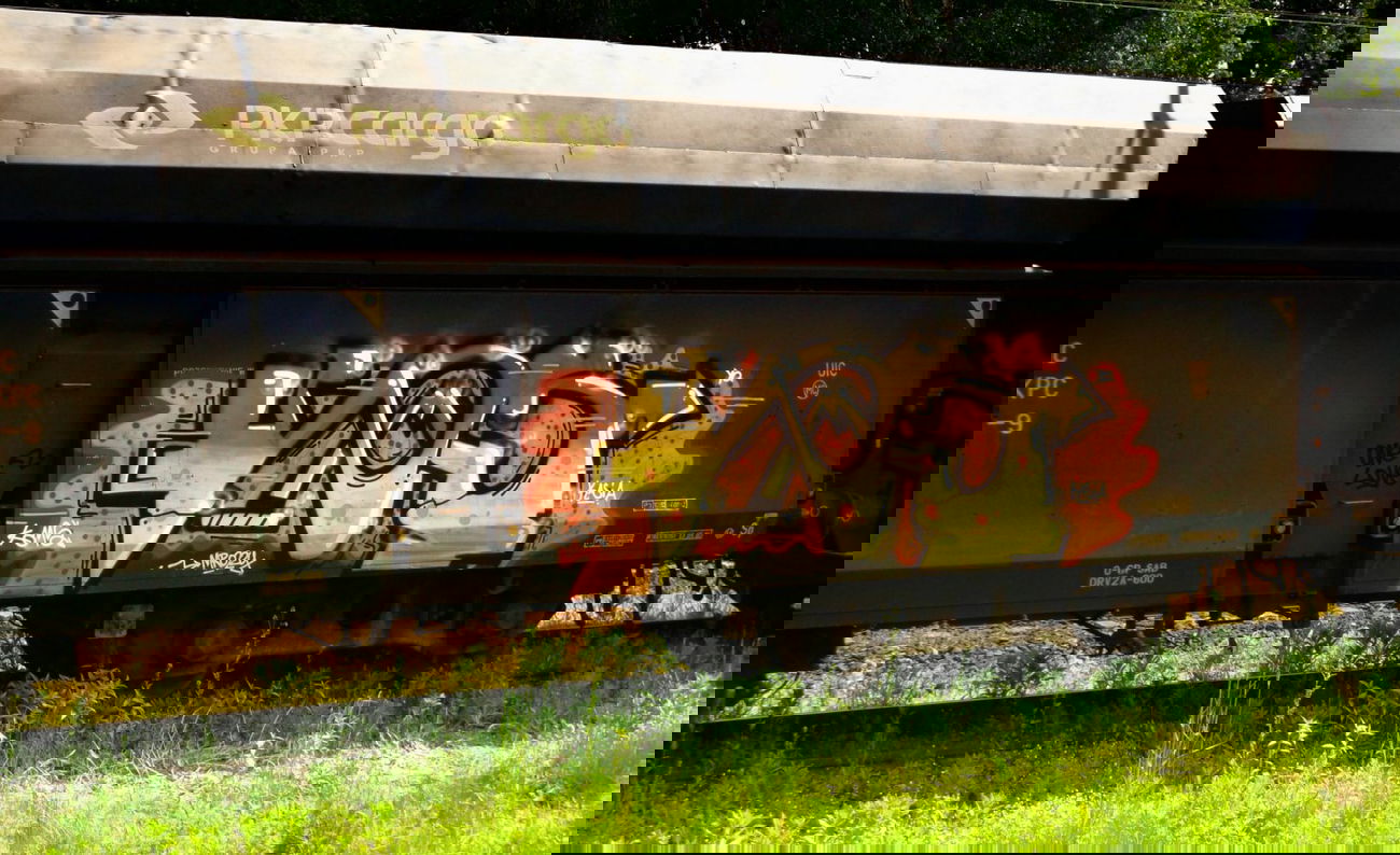 Graffiti Train - Photo by smOkers3 - Koms (2014)