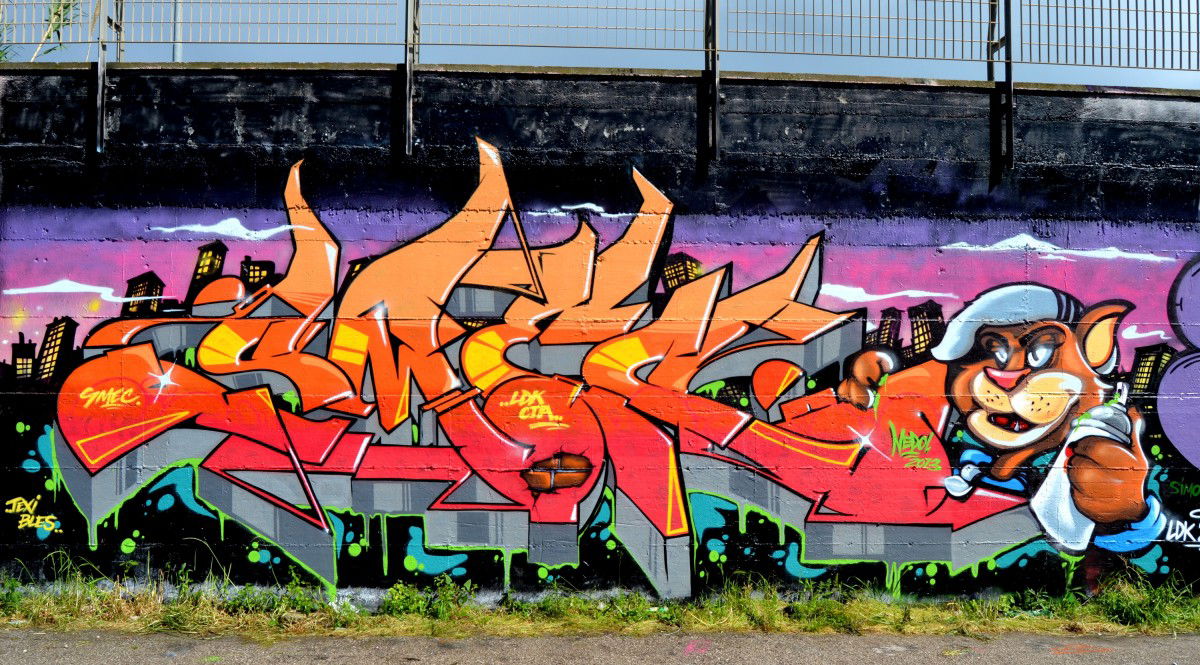 Graffiti Wall in Mondrayork - Photo by smec