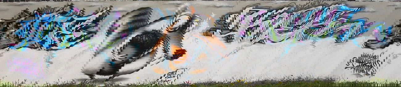 Graffiti Wall in Warendorf - Photo by smoe - Smoe, Kier (2006)