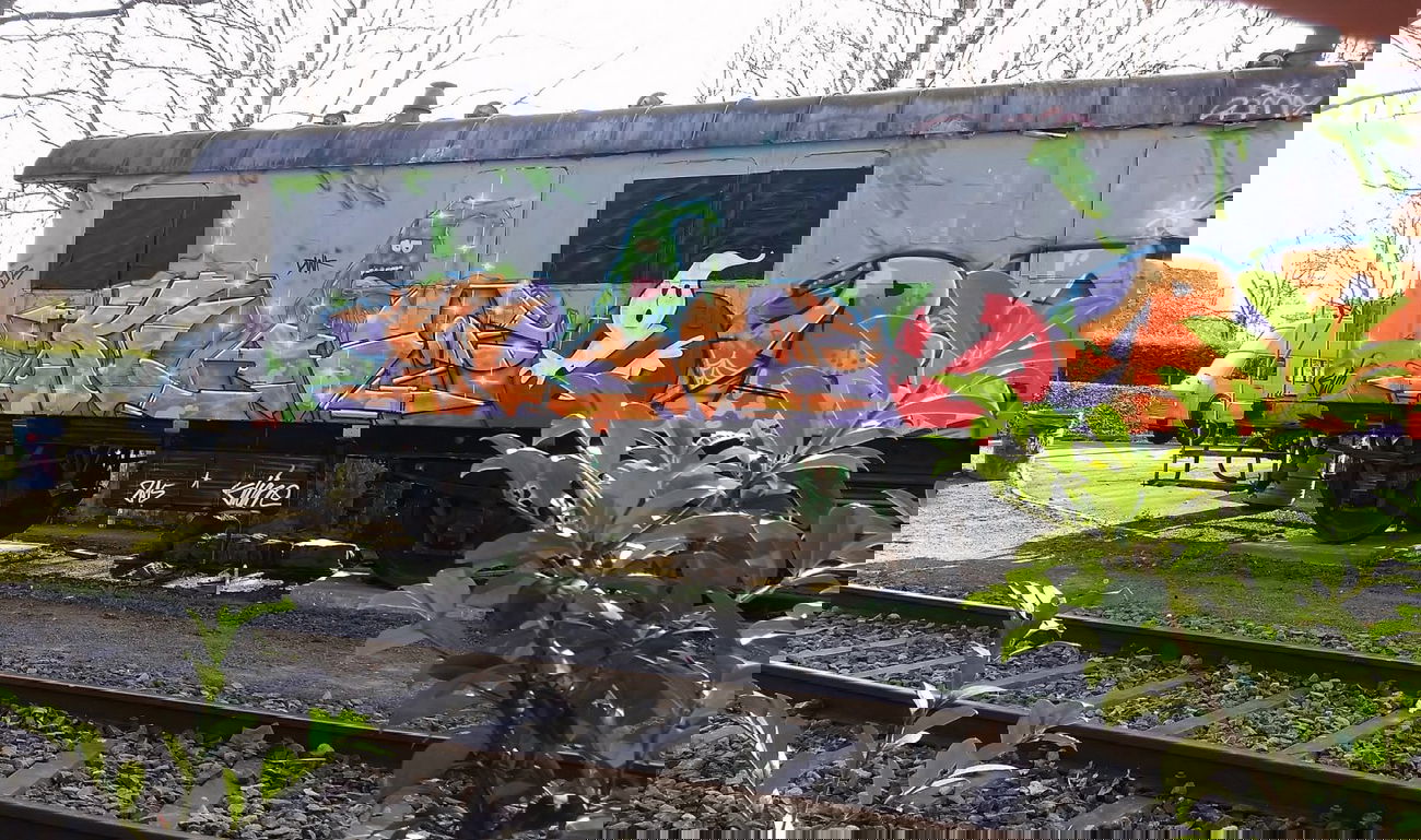 Graffiti Wall - Photo by smokealot - klio