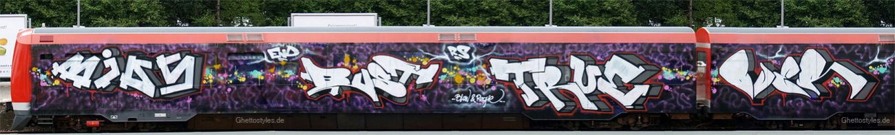 Graffiti Train in hamburg - Photo by snaqq - true, bust, wholecar (2012)